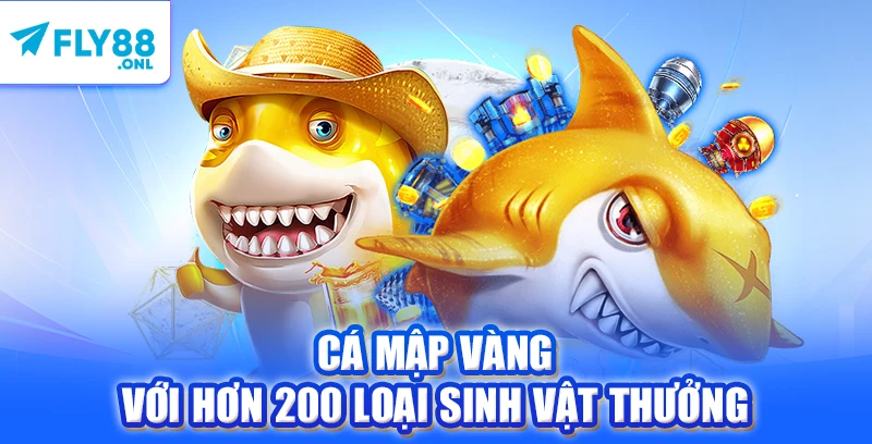 Cá Mập Vàng với hơn 200 loại sinh vật thưởng