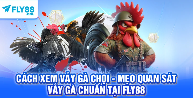 Cách Xem Vảy Gà Chọi - Mẹo Quan Sát Vảy Gà Chuẩn Tại FLY88