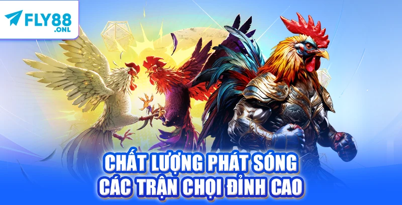 Chất lượng phát sóng các trận chọi đỉnh cao