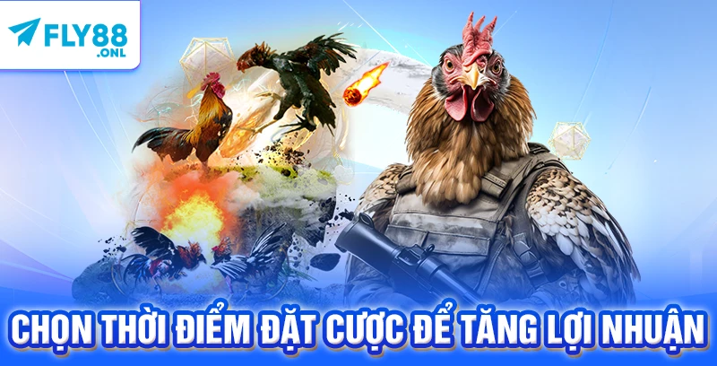 Chọn thời điểm đặt cược để tăng lợi nhuận