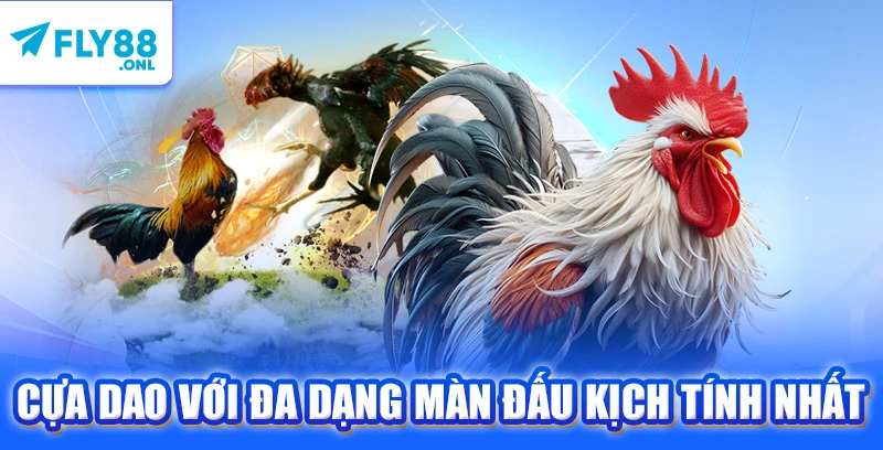 Cựa dao với đa dạng màn đấu kịch tính nhất