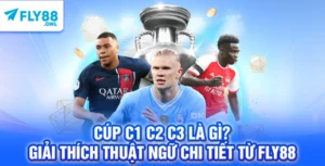 Cúp C1 C2 C3 Là Gì? – Giải Thích Thuật Ngữ Chi Tiết Từ FLY88