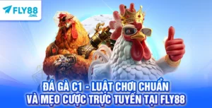 Đá Gà C1 - Luật Chơi Chuẩn Và Mẹo Cược Trực Tuyến Tại FLY88