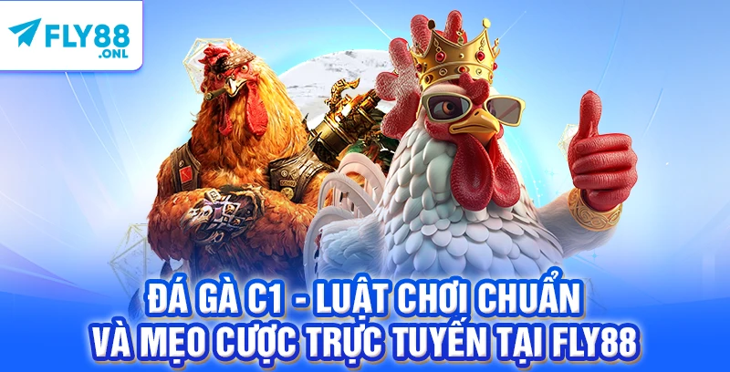 Đá Gà C1 - Luật Chơi Chuẩn Và Mẹo Cược Trực Tuyến Tại FLY88