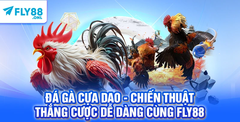Đá Gà Cựa Dao - Chiến Thuật Thắng Cược Dễ Dàng Cùng FLY88