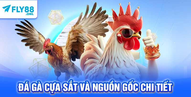 Đá gà cựa sắt và nguồn gốc chi tiết 