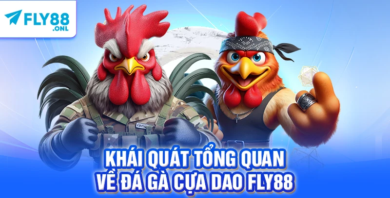 Khái quát tổng quan về đá gà cựa dao FLY88