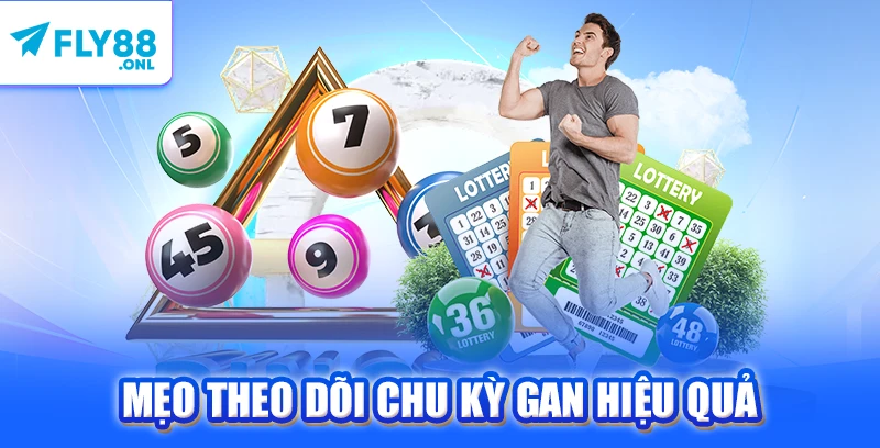 Mẹo theo dõi chu kỳ gan hiệu quả 