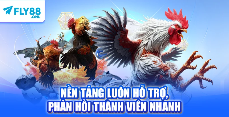 Nền tảng luôn hỗ trợ, phản hồi thành viên nhanh