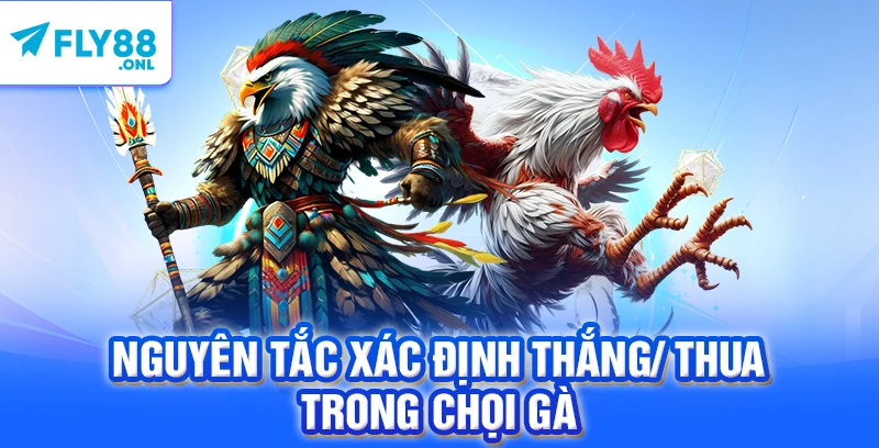 Nguyên tắc xác định thắng/ thua trong chọi gà 