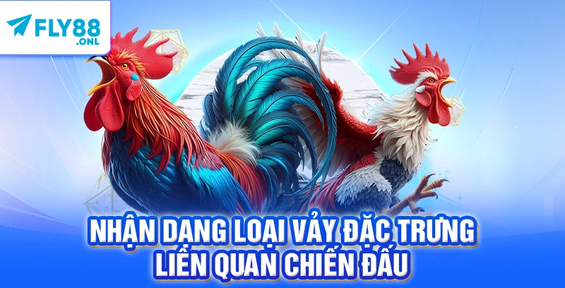 Nhận dạng loại vảy đặc trưng liên quan chiến đấu