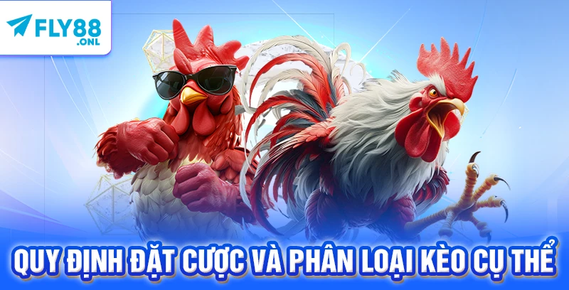 Quy định đặt cược và phân loại kèo cụ thể