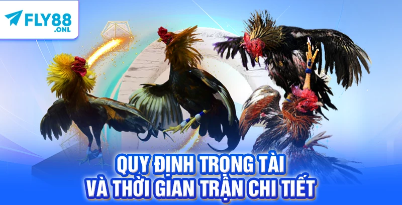 Quy định trọng tài và thời gian trận chi tiết