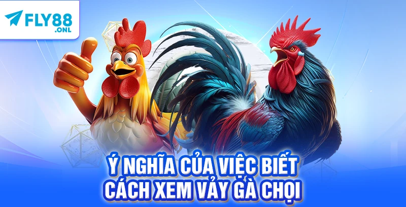 Ý nghĩa của việc biết cách xem vảy gà chọi